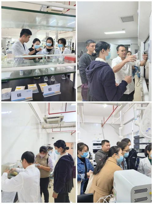 提升專業(yè)技能，守護(hù)食品安全——海南省食品安全協(xié)會(huì)成功舉辦2024年度食品檢驗(yàn)員職業(yè)技能培訓(xùn)班